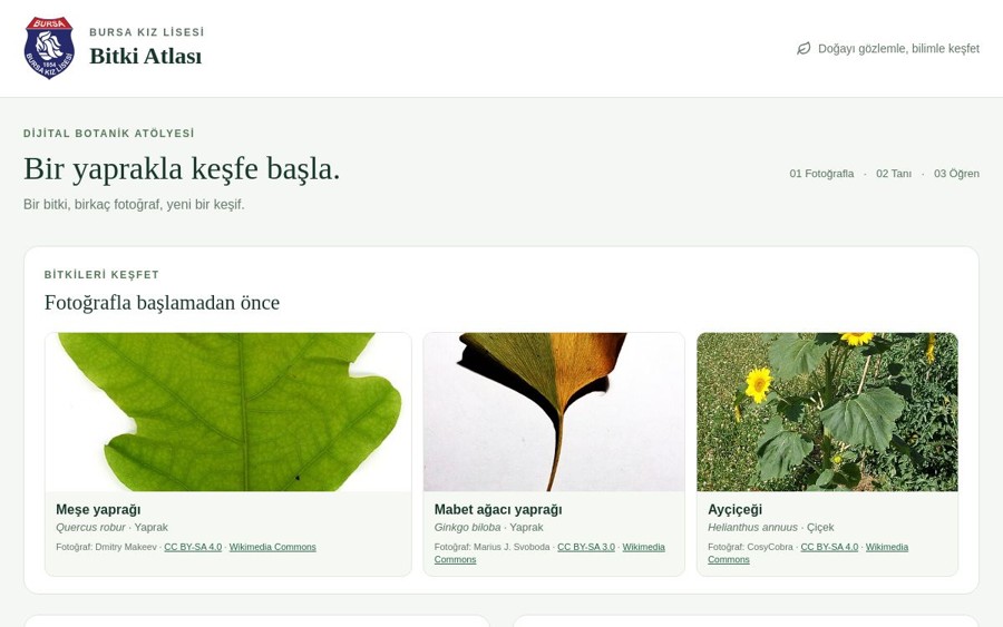 Bitki Atlası web sayfası önizlemesi